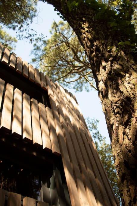 Vaimiti, Cabane Cosy Sous Les Pins Saint-Brevin-les-Pins Exterior foto